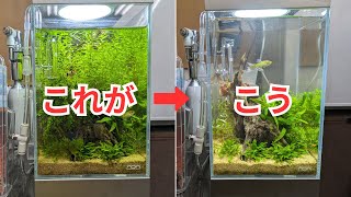 ADA 水草 メンテナンス トリミング セット 11点＋1→10点+1 ADA 水草 メンテナンス トリミング セット 11点＋1→10点+1 ADA
