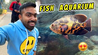 Itna Badiya Fish Aquarium 🐠😍