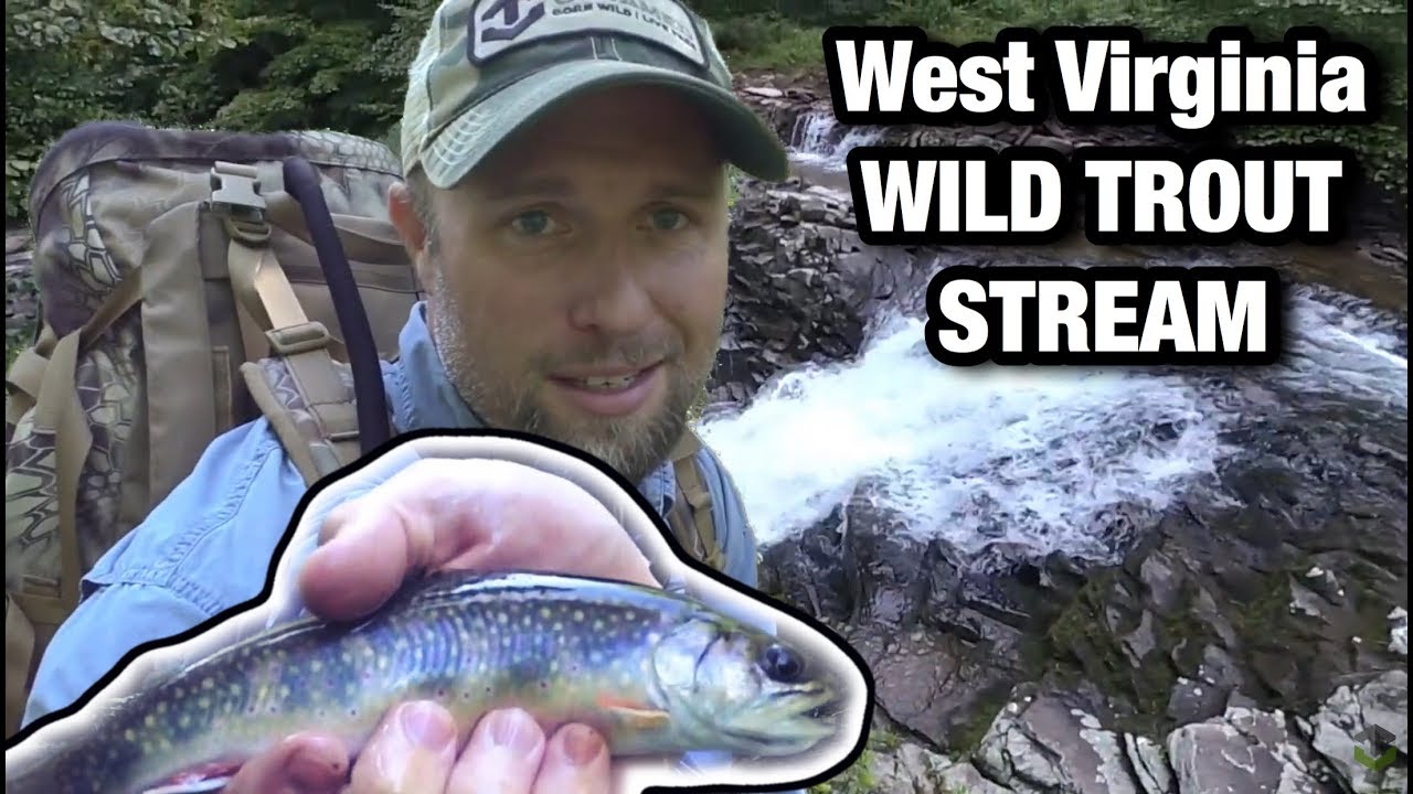 Hiking, Camping, Fly Fishing YouTube