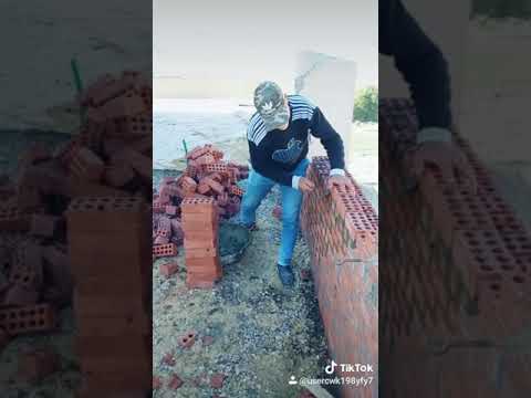 احنا تحت أمر اي حد بنا محمد عز 01150561684