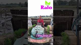 Ralo Rice Transplanter  . #ralowalkbehandricetransplanter # ride on mission#agriculture