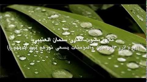 ‫تلاوة من سورة الحديد - القارئ سلمان العتيبي‬‎