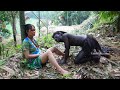 Primitive Life - Smart Girl Solo Survival In The Rainforest - Find Food Meet Chicken, Bamboo Shoots