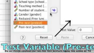 One Sample T-test in SPSS - In Depth