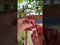 This Knot Very Helpful !
