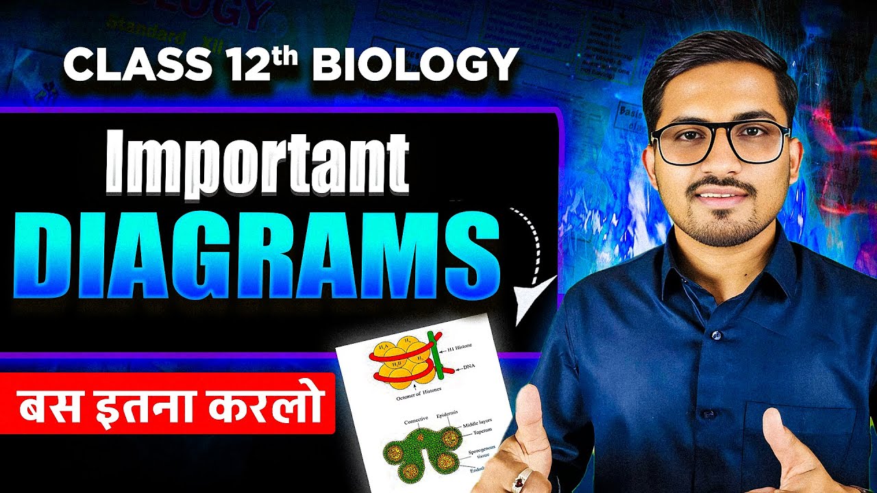 Breathtaking Bankofbiology Com Class 12 Capture in HD Breathtaking Bankofbiology Com Class 12 Capture in HD