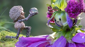 Building with Flowers is Hard - Becorns Episode 5