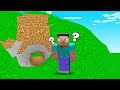 Minecraft BUT EVERYTHING Is ROUND! (So Weird)