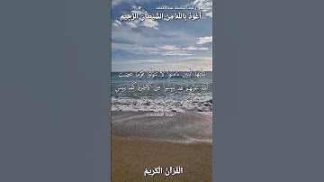 🌿القرآن الكريم 🌿ما تيسر من سورة الممتحنة•