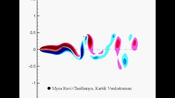 DNS simulations of a fluttering flag.