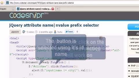 JQUERY Tutorial : jQuery attribute name=value prefix selector