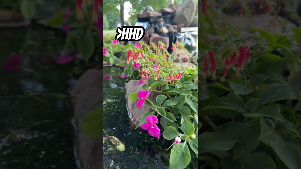 Foxie Flower Challenge