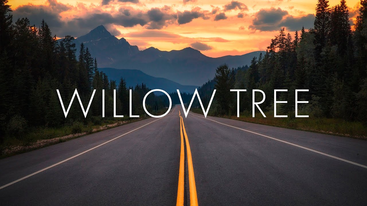 Rival & Cadmium - Willow Tree (feat. Rosendale) (Slowed + Reverb