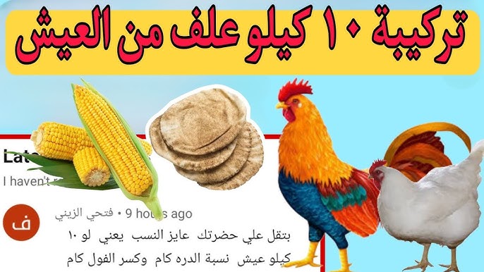محاضرة اساسيات تغذية الدواجن للدكتور حسن هلال 2013 - YouTube