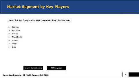 DPI (Deep Packet Inspection) Market Research - Global Industry Analysis 2022