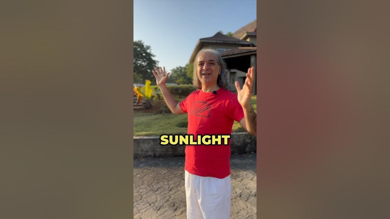 how-much-sunlight-do-we-need-every-morning-morningroutine-youtube