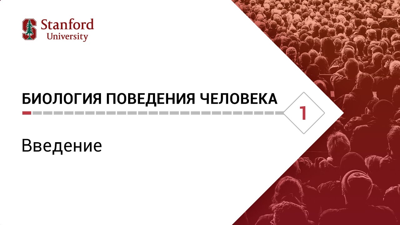 Реферат Биологии На Тему Поведение Человека