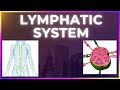 The Vital Role of the Lymphatic System in Fluid Balance and Immunity