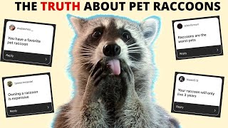The Truth about Pet Raccoons (answering true or false questions)
