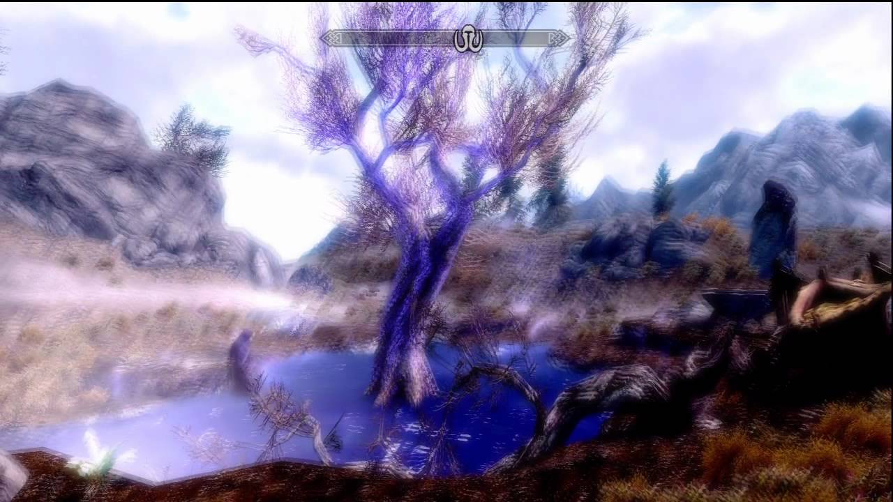 Skyrim sleeping tree cave game Skyrim sleeping tree cave game