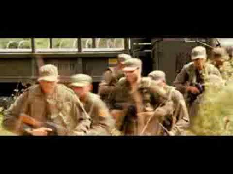 تفاح الساحل الخجلان