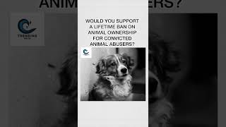 🦮🥰Lifetime Ban for Animal Abusers? #AnimalRights #StopAnimalAbuse#ProtectAnimals #shorts#adventure
