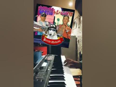 perrito malvado-damas gratis - YouTube