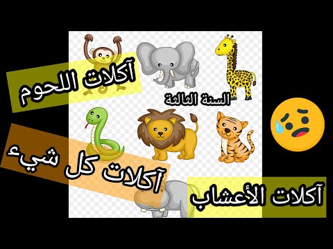 فيديو: مفترسات الحشرات: قائمة ، أمثلة. ماذا تأكل الحشرات المفترسة؟