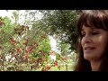Tragedy didn't stop Cheri Ulch