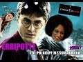RIASSUNTO ACCURATISSIMO HARRY POTTER "ERRIPOTTE E IL PRINCIPE MEZZOBABBANO" PT1