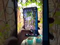 IPhone 14 Plus camera status ⚡️#shorts #youtube #youtubeshorts #iphone #status