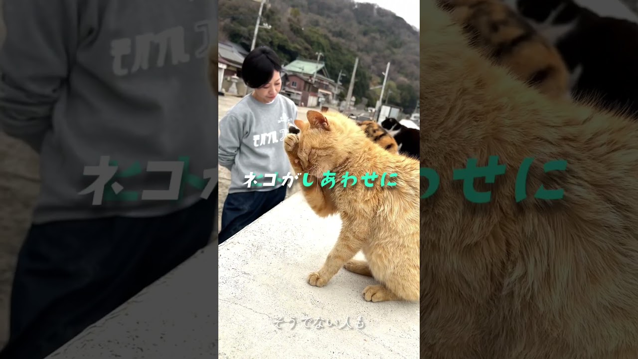 活動限界