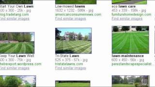 NLS Lawn Care Dearborn, Mi