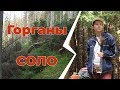 Соло-поход в Западных Горганах (Карпаты, Украина)