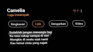 Camelia || Lagu Irwansyah || story wa