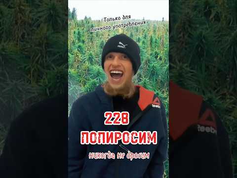 228 попиросим никогда не бросим 😂 #юмор #смех #228
