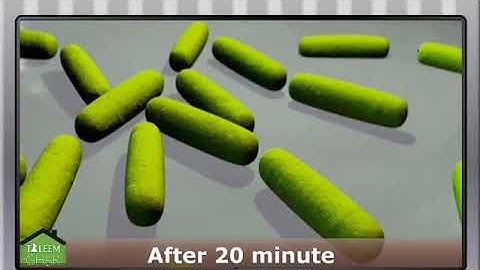 DNA Replication, Introduction of Gene into Bacterium Science Class 8 Lecture 7 Urdu/Hindi