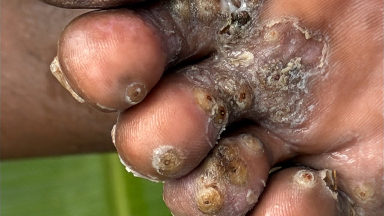 Повторный визит Келлиана за песочными часами — его слезы (в конце работы по выкапыванию песочных ...