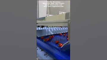 Small Round Fruit Size Sorting Grading Machine