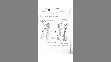 HSC 2022 11 week Biology Assignment Solution.#shorts#lekhapora