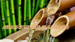Indonesia instrument - Sounds Of Bamboo - Track 02 - Srinadi