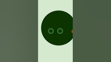 Infinity Loop Level 2 Answer Walkthrough