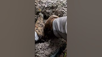 Metal Detecting Finds | Cool stuff found in the woods metal detecting with the Nokta Legend!