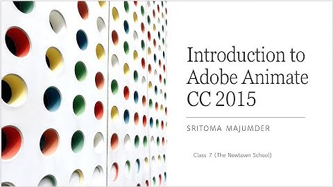 CBSE - Grade 7 - Computer Science - Introduction to Adobe Animate CC 2015 - Solution