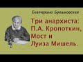 Екатерина Брешковская. Три анархиста: П.А. Кропоткин, Мост и Луиза Мишель. Аудиокнига.