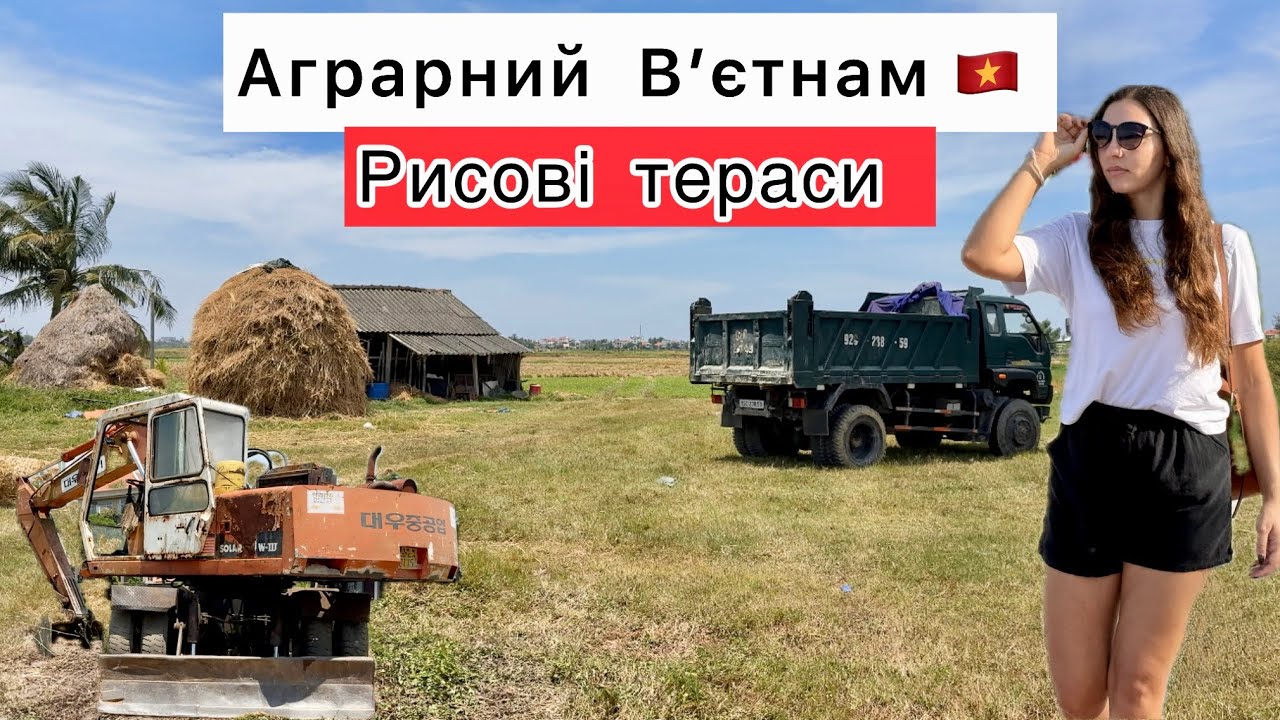 Як живе В’єтнам після збору рису — ми побачили це на власні очі 👀