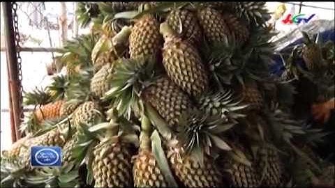 HGTV | Khóm Cầu Đúc thiết lập mức giá kỷ lục