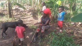 Raw Daily Routine Of a True African Traditional Organic Village Rural Family (Daily Life Activities)