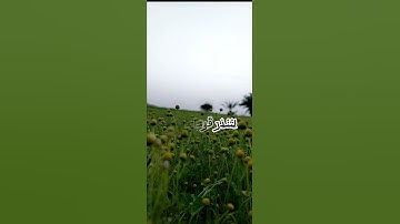 سورة يس بصوت رائع ما شاء الله #قرآن #اكسبلور #الرحمن #لايك