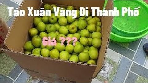 Giá Táo, Táo Xuân Vàng Đóng Thùng Phục Vụ Các Bác Thành Phố I Nui Doi Luc Ngan 98